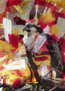 Red Osprey #1, 2015. Acrylic and pigment print on Rives BFK paper. 29 x 21 inches. Private collection.