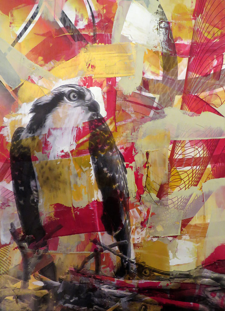 Red Osprey #2, 2015. Acrylic and pigment print on Rives BFK paper. 29 x 21 inches. Private collection.